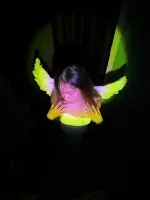 20250803_035120.webp
