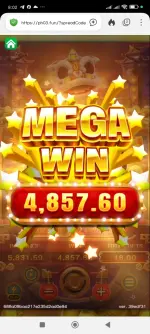 1000013824.webp 1000013824.webp