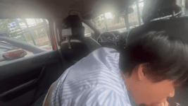 txaxorhplicf1.gif