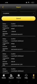 Screenshot_2025-08-09-04-53-47-48_35beea4b3b94eef5e3e3fac311833df5.webp