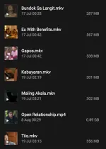 Screenshot_20250808-222943_My Files.webp