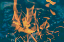 1000008297.gif