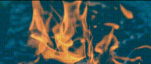 1000008328.gif