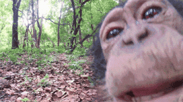 200.gif