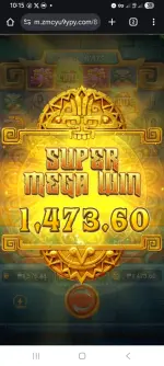 1000029650.webp
