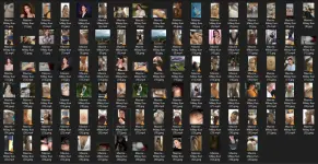 Untitled.webp