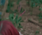 ezgif-63be5e6d7269a5.gif