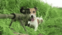 200.gif 200.gif