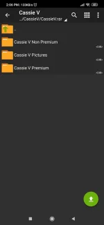 Screenshot_2019-11-04-14-06-31-635_ru.zdevs.zarchiver.webp
