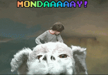 giphy.gif
