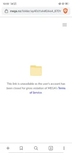 Screenshot_2020-04-14-10-50-30-69.webp