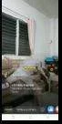 live.webp