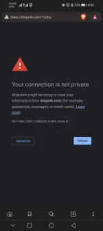 Screenshot_20220127_165355_com.brave.browser.webp
