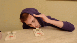 giphy.gif
