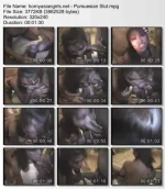 hornyasiangirls.net+-+Pursuesian+Slut.webp