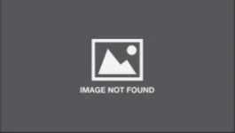 IMG_20200428_005220.webp