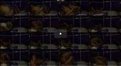 earrws9jlze6.webp