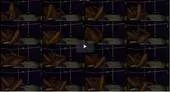 b4qxjvr5ujsn.webp