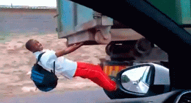 giphy.gif