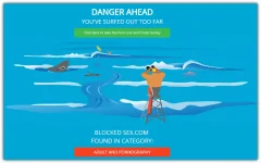 safe_surfer.webp