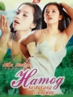 1620400017582.webp 1620400017582.webp