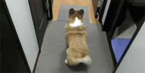 200.gif