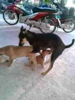 3some.webp