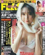 1Z434551F2-1-1.webp