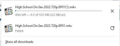 cats.webp
