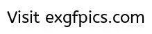 5.webp