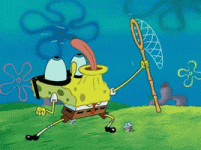 200.gif