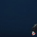 200.gif