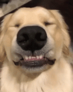 200.gif
