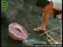 200.gif