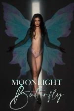 moonlight.webp moonlight.webp