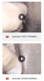 1668665790951.webp