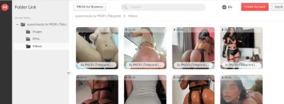 mega.webp