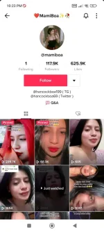 Screenshot_2022-12-28-22-23-55-805_com.zhiliaoapp.musically.webp