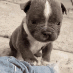 200.gif