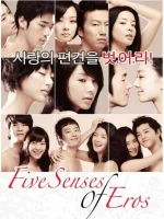 5 senses of eros.webp