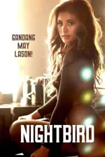 nightbird.webp
