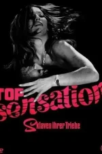 Top Sensation (1969).webp