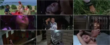 Star.Of.David.Beauty.Hunting.1979..webp