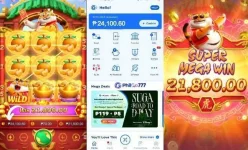 SLOT-PG-FORTUNE TIGER- 24K.webp SLOT-PG-FORTUNE TIGER- 24K.webp
