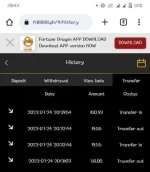 Screenshot_2023_0725_084409.webp