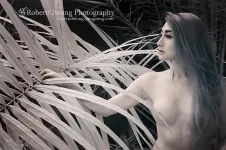 16665505829_0dfc4ef477_o.webp
