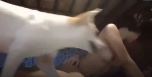 Ano kaya ginagawa ng mga to- Bantay.webp