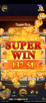 1000001233.webp