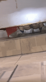 easy gif1701771472089.gif easy gif1701771472089.gif