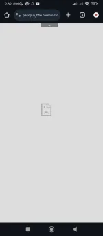 Screenshot_2024-02-13-19-37-11-987_com.android.chrome.webp